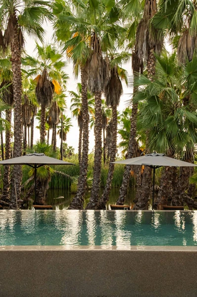 itakate-catering-services-cabo-sanlucas-amet-1