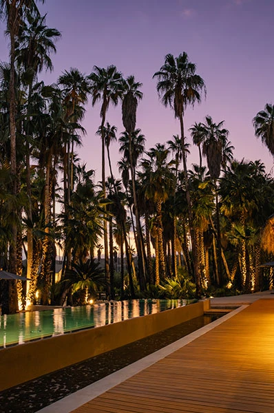 itakate-catering-services-cabo-sanlucas-amet-12