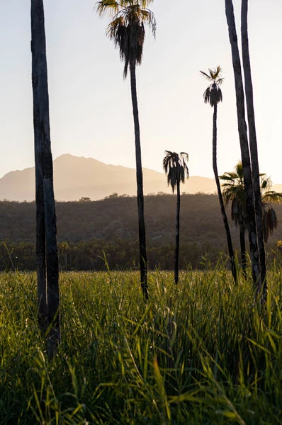 itakate-catering-services-cabo-sanlucas-amet-4