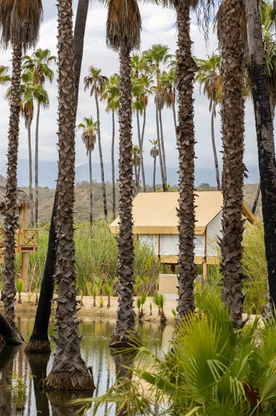 itakate-catering-services-cabo-sanlucas-amet-5